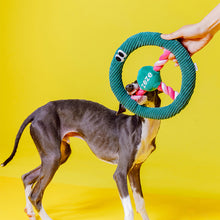 画像をギャラリービューアに読み込む, 丈夫なハンドル型ロープの犬猫用おもちゃ DOG HANDLE(ドッグハンドル)