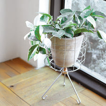 画像をギャラリービューアに読み込む, お気に入りの鉢をそのまま入れるだけで様になる Dusaule スタンドポットカバー