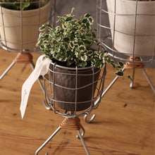 画像をギャラリービューアに読み込む, お気に入りの鉢をそのまま入れるだけで様になる Dusaule スタンドポットカバー