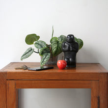 画像をギャラリービューアに読み込む, 絶妙な表情かわいいゴリラの貯金箱 Gorilla Bank(ゴリラバンク)