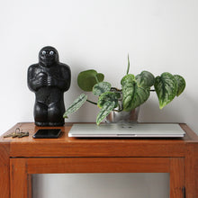 画像をギャラリービューアに読み込む, 絶妙な表情かわいいゴリラの貯金箱 Gorilla Bank(ゴリラバンク)