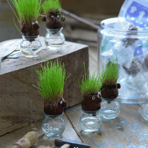 頭から髪の毛のように芝生が生える栽培キット hair LABO(ヘアラボ)