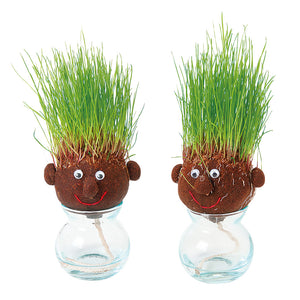 頭から髪の毛のように芝生が生える栽培キット hair LABO(ヘアラボ)