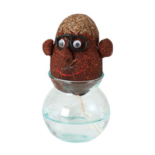 画像をギャラリービューアに読み込む, 頭から髪の毛のように芝生が生える栽培キット hair LABO(ヘアラボ)