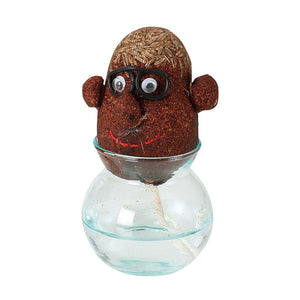 頭から髪の毛のように芝生が生える栽培キット hair LABO(ヘアラボ)