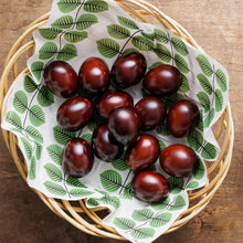 画像をギャラリービューアに読み込む, 常温保存で一年おいしい。 非常食にもなる燻製たまご ジオの石