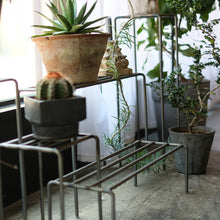 画像をギャラリービューアに読み込む, 植物を引き立てるワイドタイプのプランタースタンド KNOP plant stands WIDE(ノップ プラントスタンド ワイド)