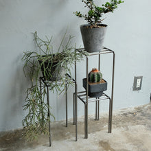 画像をギャラリービューアに読み込む, 植物を引き立てるプランタースタンド KNOP plant stands(ノップ プラントスタンド)