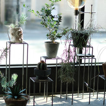 画像をギャラリービューアに読み込む, 植物を引き立てるプランタースタンド KNOP plant stands(ノップ プラントスタンド)