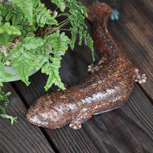 画像をギャラリービューアに読み込む, オオサンショウウオのお役立ち貯金箱 PET BANK GIANT SALAMANDER(ペットバンク ジャイアント サラマンダー)