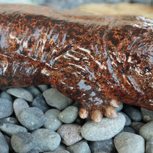 画像をギャラリービューアに読み込む, オオサンショウウオのお役立ち貯金箱 PET BANK GIANT SALAMANDER(ペットバンク ジャイアント サラマンダー)