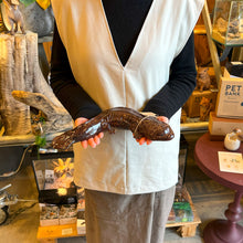 画像をギャラリービューアに読み込む, オオサンショウウオのお役立ち貯金箱 PET BANK GIANT SALAMANDER(ペットバンク ジャイアント サラマンダー)