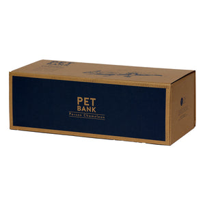 パーソンカメレオンのお役立ち貯金箱 PET BANK PERSON CHAMELEON(ペットバンク パーソンカメレオン)