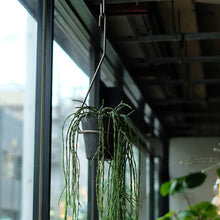 画像をギャラリービューアに読み込む, 一本の軸で構成されたプラントハンガー PLOP HANGING HOLDER(プロップ ハンギングホルダー)