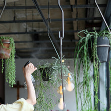 画像をギャラリービューアに読み込む, 一本の軸で構成されたプラントハンガー PLOP HANGING HOLDER(プロップ ハンギングホルダー)