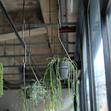 画像をギャラリービューアに読み込む, 一本の軸で構成されたプラントハンガー PLOP HANGING HOLDER(プロップ ハンギングホルダー)
