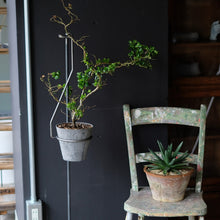 画像をギャラリービューアに読み込む, 一本の軸で構成されたプラントハンガー PLOP HANGING HOLDER(プロップ ハンギングホルダー)