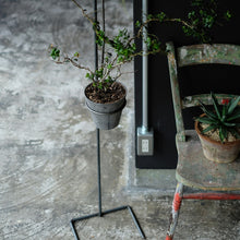 画像をギャラリービューアに読み込む, 一本の軸で構成されたプラントハンガー PLOP HANGING HOLDER(プロップ ハンギングホルダー)