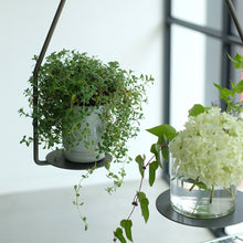 画像をギャラリービューアに読み込む, フラワーベースなどをのせてディスプレイを楽しむ PLOP HANGING PLATE(プロップ ハンギングプレート)