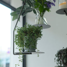 画像をギャラリービューアに読み込む, フラワーベースなどをのせてディスプレイを楽しむ PLOP HANGING PLATE(プロップ ハンギングプレート)