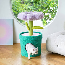画像をギャラリービューアに読み込む, 植物の形をしたペットのお家 POT PET HOUSE
