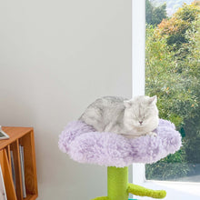 画像をギャラリービューアに読み込む, 植物の形をしたペットのお家 POT PET HOUSE