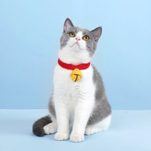 画像をギャラリービューアに読み込む, 肌に優しく柔らかい首輪 TINK SCARF