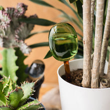 画像をギャラリービューアに読み込む, 水やり後、土の水分が不足したら自動的に水が排出される TWO TONE WATER DISPENSER(ツートーン ウォーター ディスペンサー)