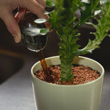 画像をギャラリービューアに読み込む, 水やり後、土の水分が不足したら自動的に水が排出される TWO TONE WATER DISPENSER(ツートーン ウォーター ディスペンサー)
