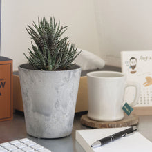 画像をギャラリービューアに読み込む, 自然環境に近い状態を表現できるプランター ART STONE(アートストーン)