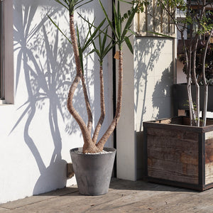 自然環境に近い状態を表現できるプランター ART STONE(アートストーン)