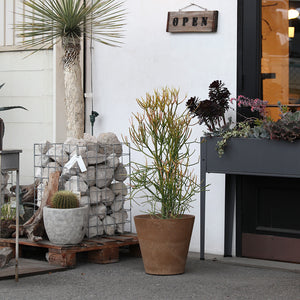 自然環境に近い状態を表現できるプランター ART STONE(アートストーン)