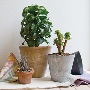 自然環境に近い状態を表現できるプランター ART STONE(アートストーン)