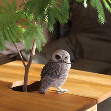 画像をギャラリービューアに読み込む, リアルなアナホリフクロウのオブジェ BIRDIE BILL BURROWING OWL(バーディ ビル バーローイングオウル)