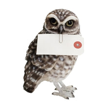 画像をギャラリービューアに読み込む, リアルなアナホリフクロウのオブジェ BIRDIE BILL BURROWING OWL(バーディ ビル バーローイングオウル)