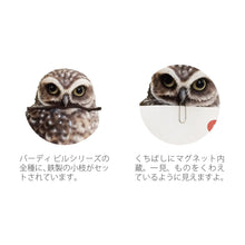 画像をギャラリービューアに読み込む, リアルなアナホリフクロウのオブジェ BIRDIE BILL BURROWING OWL(バーディ ビル バーローイングオウル)