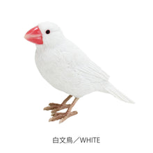 画像をギャラリービューアに読み込む, リアルな文鳥のオブジェBIRDIE BILL JAVA SPARROW(バーディ ビル ジャバ スパロー)