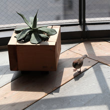 画像をギャラリービューアに読み込む, リアルなスズメのオブジェ BIRDIE BILL SPARROW(バーディ ビル スパロー)