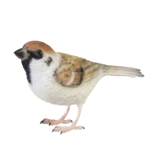 画像をギャラリービューアに読み込む, リアルなスズメのオブジェ BIRDIE BILL SPARROW(バーディ ビル スパロー)