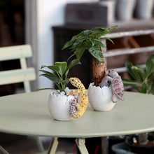 画像をギャラリービューアに読み込む, 産まれたてのペンスタンド BOB UP STAND(ボブ アップ スタンド)