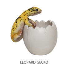 画像をギャラリービューアに読み込む, 産まれたてのペンスタンド BOB UP STAND(ボブ アップ スタンド)