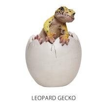 画像をギャラリービューアに読み込む, 産まれたてのペンスタンド BOB UP STAND(ボブ アップ スタンド)