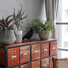 画像をギャラリービューアに読み込む, ハシボソガラスのお役立ち貯金箱 PET BANK CARRION CROW(ペットバンク キャリオン クロウ)