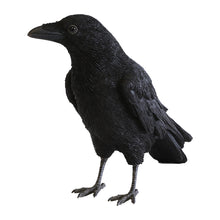 画像をギャラリービューアに読み込む, ハシボソガラスのお役立ち貯金箱 PET BANK CARRION CROW(ペットバンク キャリオン クロウ)