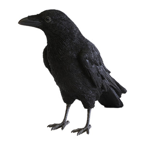 ハシボソガラスのお役立ち貯金箱 PET BANK CARRION CROW(ペットバンク キャリオン クロウ)
