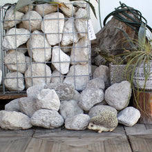 画像をギャラリービューアに読み込む, ハリネズミのお役立ち貯金箱 PET BANK HEDGEHOG(ペットバンク ヘッジホッグ)