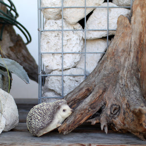 ハリネズミのお役立ち貯金箱 PET BANK HEDGEHOG(ペットバンク ヘッジホッグ)