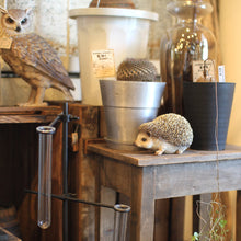 画像をギャラリービューアに読み込む, ハリネズミのお役立ち貯金箱 PET BANK HEDGEHOG(ペットバンク ヘッジホッグ)