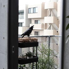 画像をギャラリービューアに読み込む, ハシブトガラスのお役立ち貯金箱 PET BANK JUNGLE CROW(ペットバンク ジャングル クロウ)