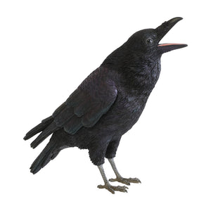 ハシブトガラスのお役立ち貯金箱 PET BANK JUNGLE CROW(ペットバンク ジャングル クロウ)